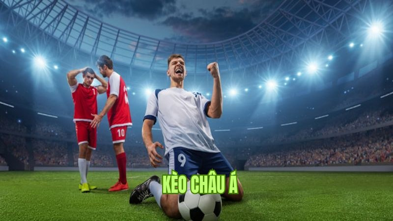 Điểm mặt các loại kèo châu Á phổ biến nhất